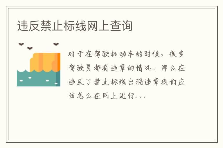 违反禁止标线网上查询