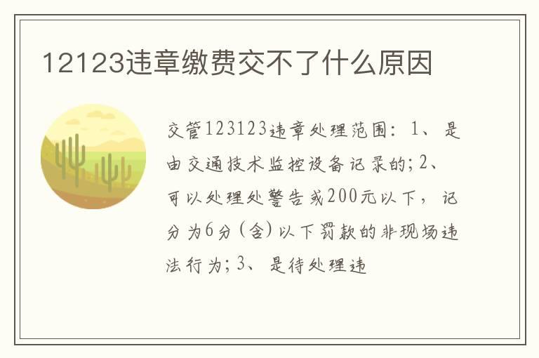 12123违章缴费交不了什么原因
