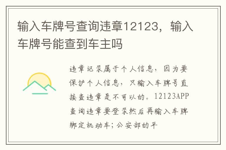 输入车牌号查询违章12123，输入车牌号能查到车主吗