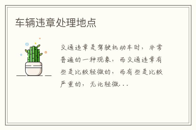 车辆违章处理地点