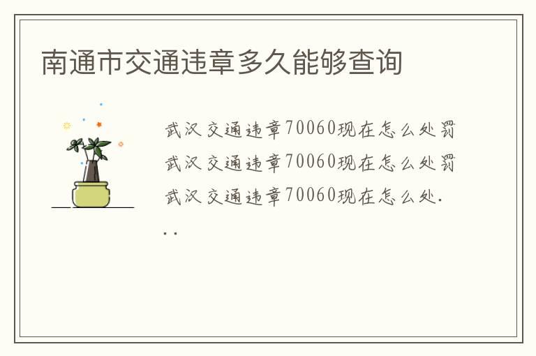 南通市交通违章多久能够查询