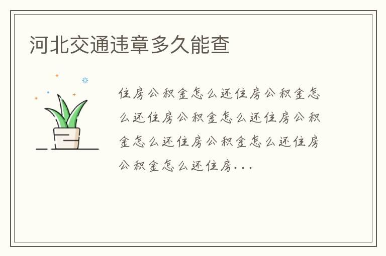河北交通违章多久能查