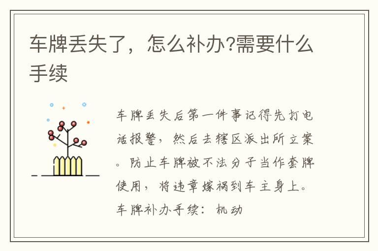 车牌丢失了，怎么补办?需要什么手续