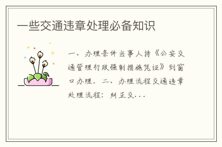 一些交通违章处理必备知识