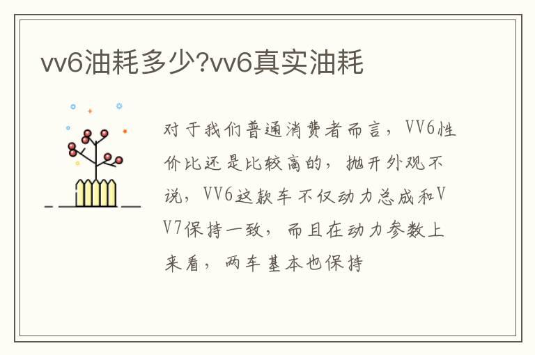 vv6油耗多少?vv6真实油耗