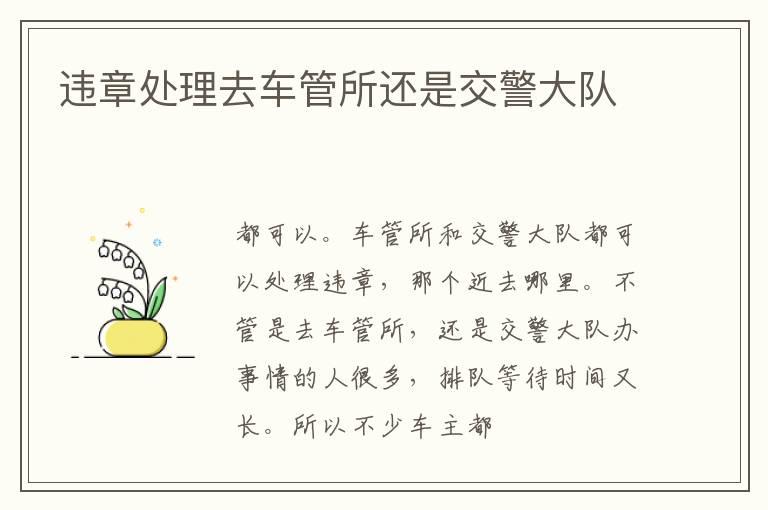 违章处理去车管所还是交警大队