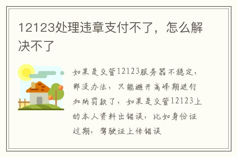 12123处理违章支付不了，怎么解决不了