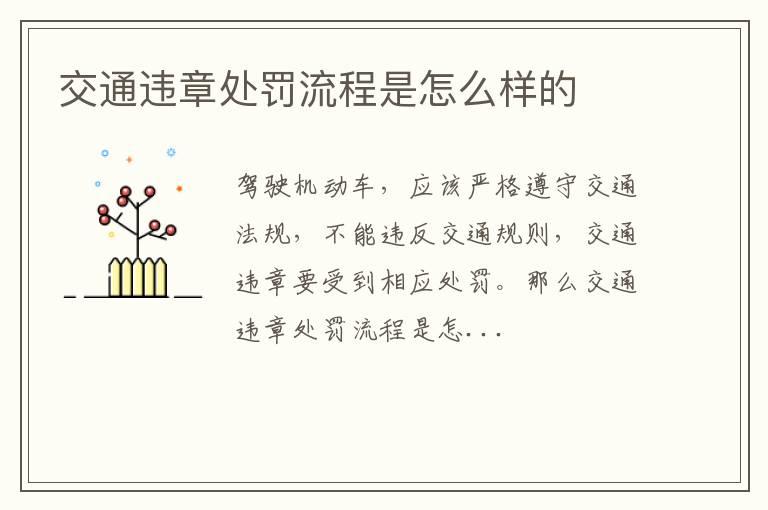 交通违章处罚流程是怎么样的