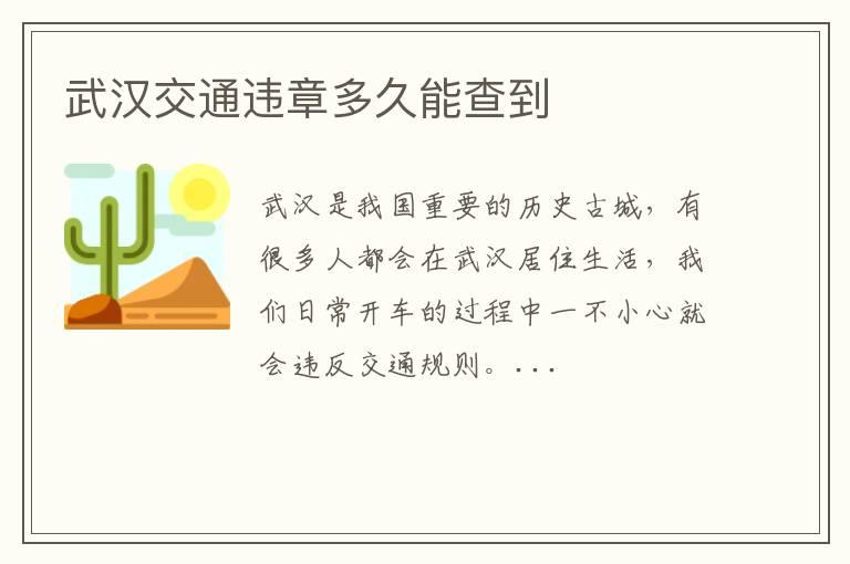武汉交通违章多久能查到