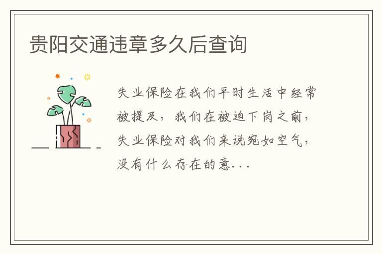 贵阳交通违章多久后查询