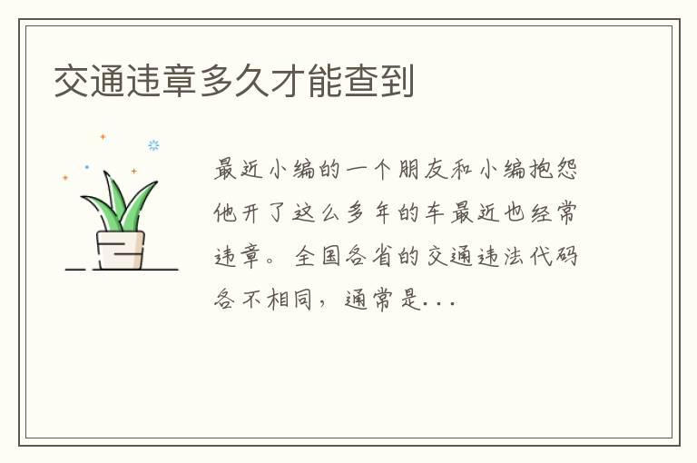 交通违章多久才能查到