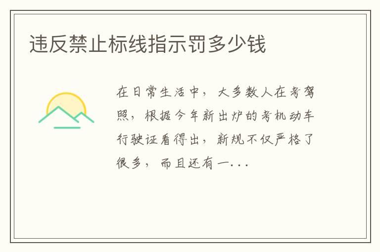违反禁止标线指示罚多少钱