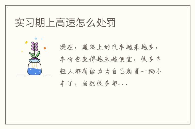实习期上高速怎么处罚