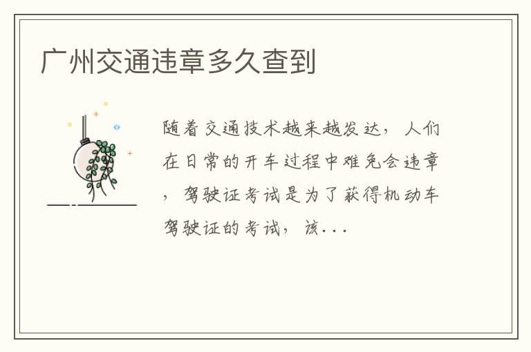 广州交通违章多久查到