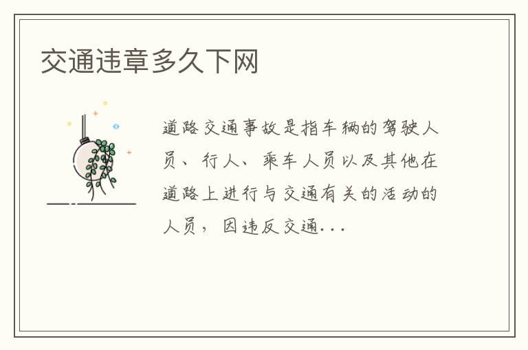 交通违章多久下网