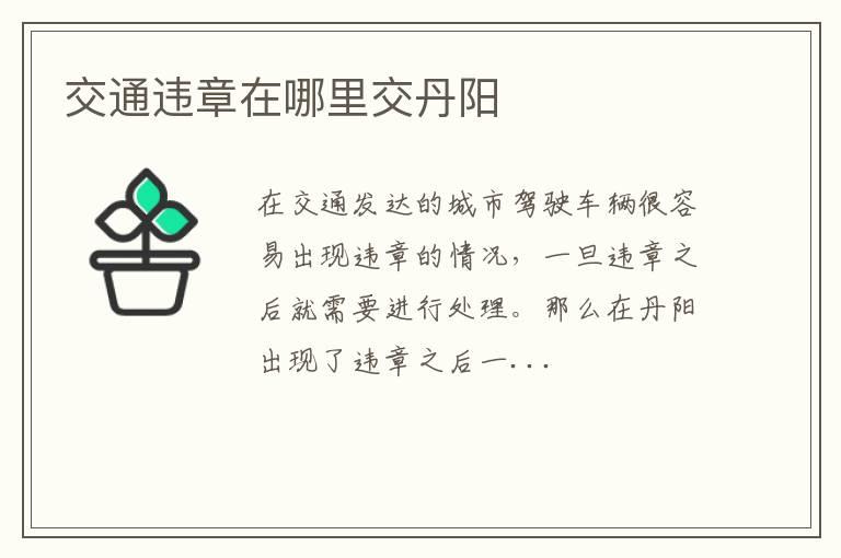 交通违章在哪里交丹阳