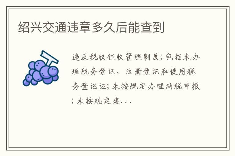 绍兴交通违章多久后能查到