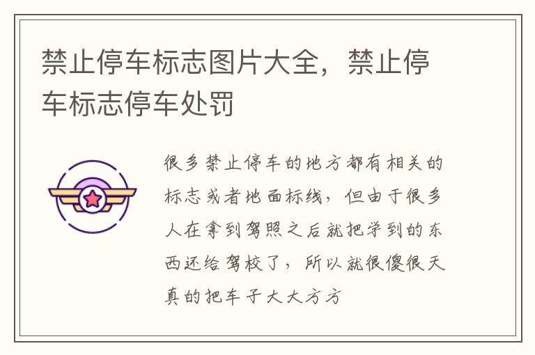 禁止停车标志图片大全，禁止停车标志停车处罚