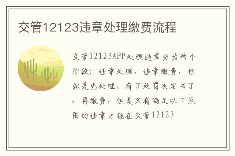 交管12123违章处理缴费流程