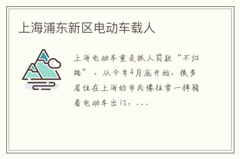上海浦东新区电动车载人