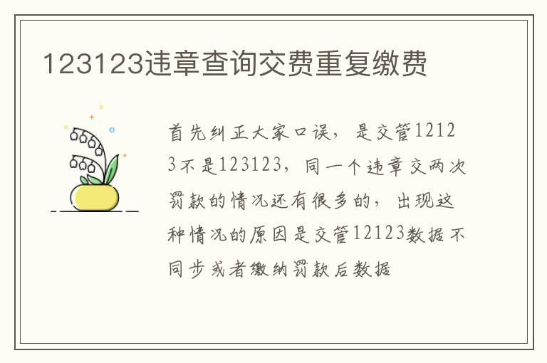 123123违章查询交费重复缴费