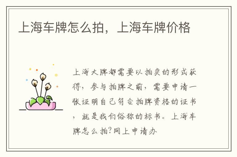 上海车牌怎么拍，上海车牌价格