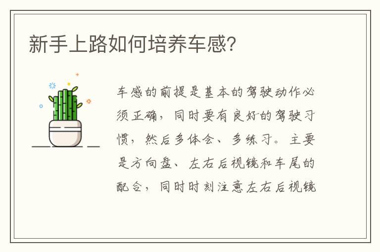 新手上路如何培养车感？