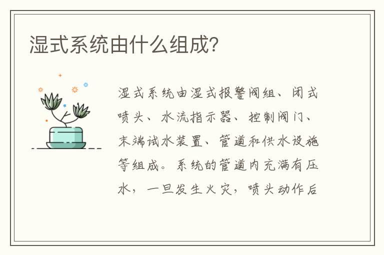 湿式系统由什么组成？