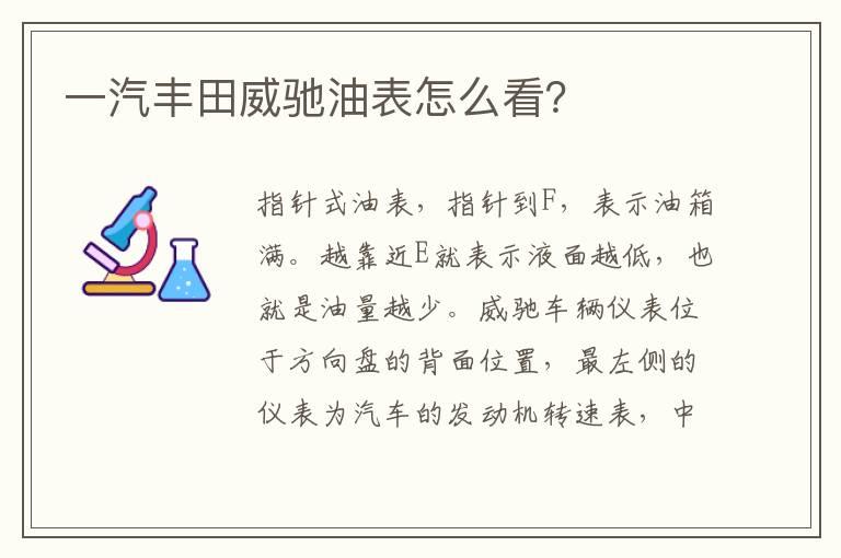 一汽丰田威驰油表怎么看？