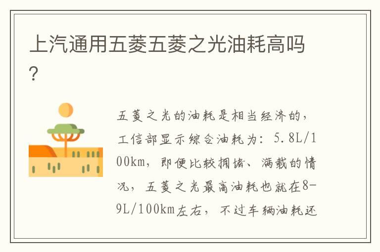 上汽通用五菱五菱之光油耗高吗？