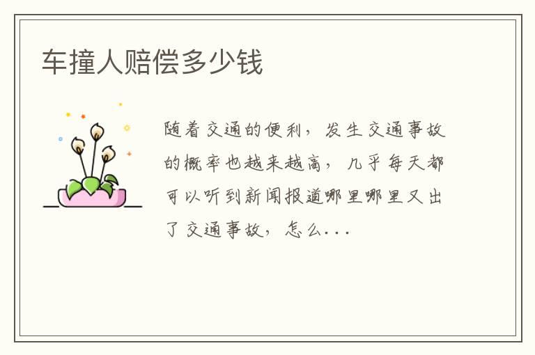 车撞人赔偿多少钱