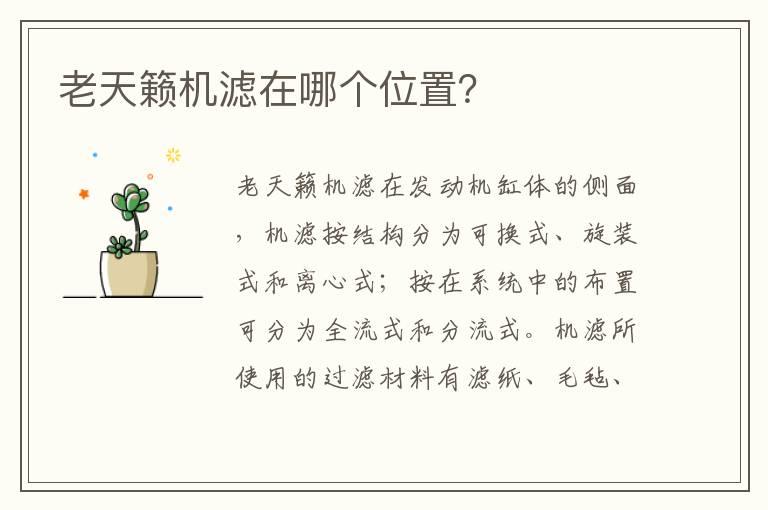 老天籁机滤在哪个位置？