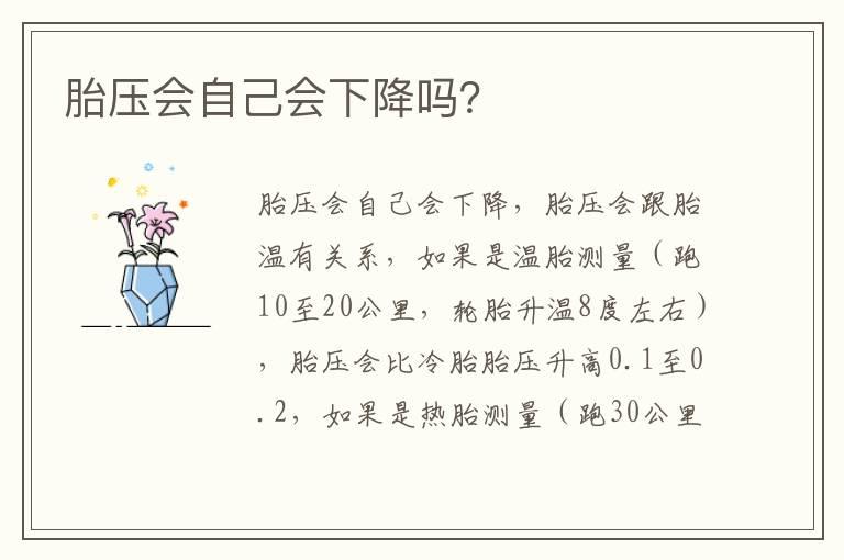 胎压会自己会下降吗？