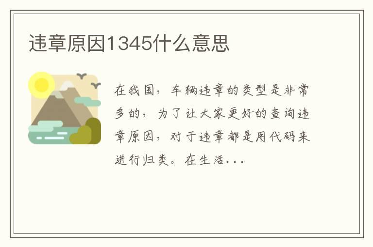 违章原因1345什么意思