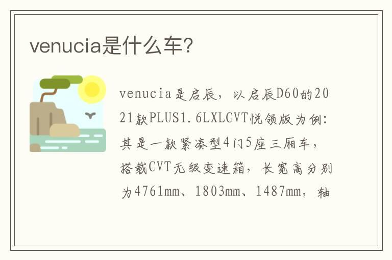 venucia是什么车？