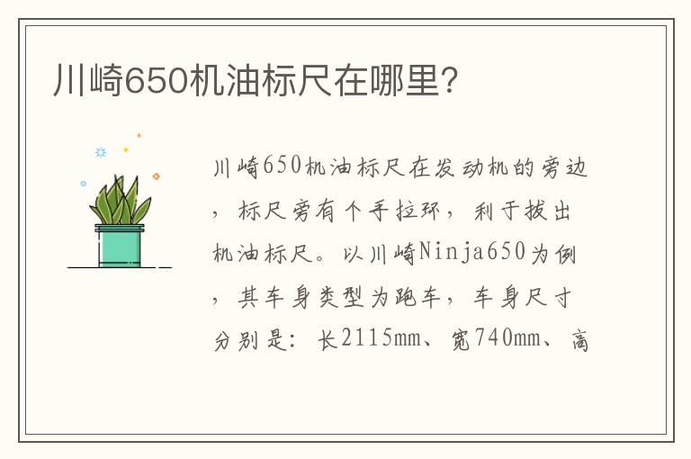 川崎650机油标尺在哪里？