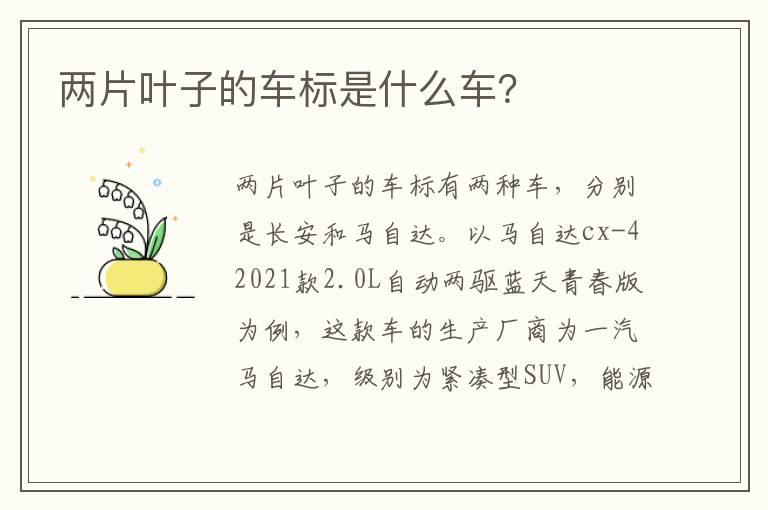 两片叶子的车标是什么车？
