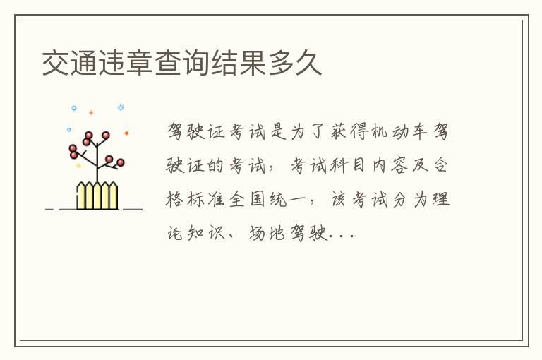 交通违章查询结果多久