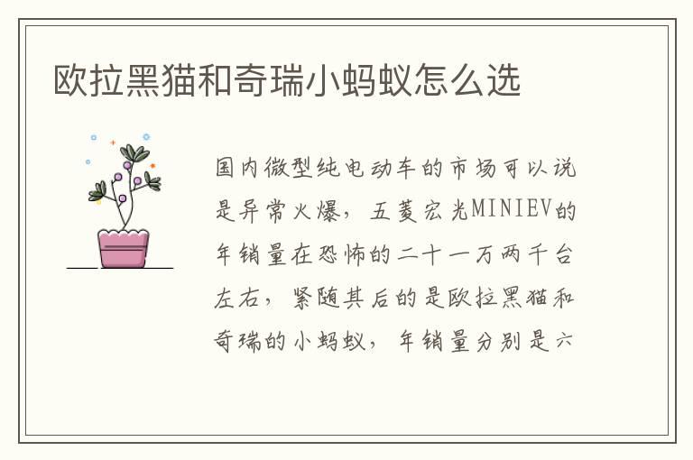 欧拉黑猫和奇瑞小蚂蚁怎么选