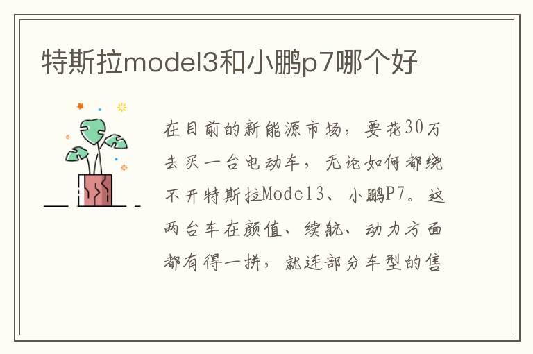特斯拉model3和小鹏p7哪个好