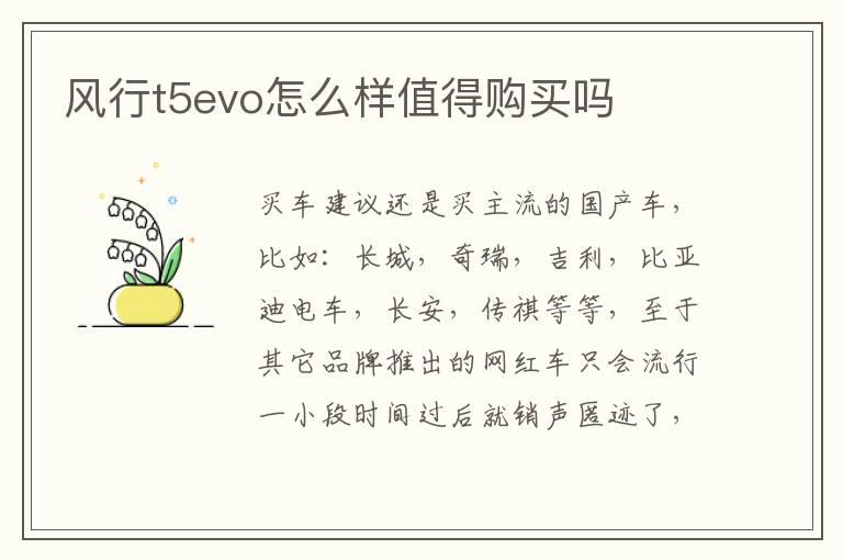 风行t5evo怎么样值得购买吗