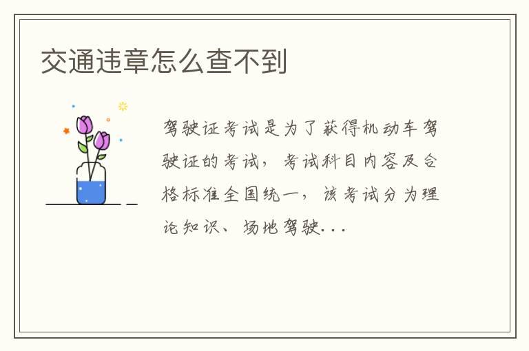 交通违章怎么查不到