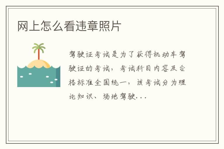 网上怎么看违章照片