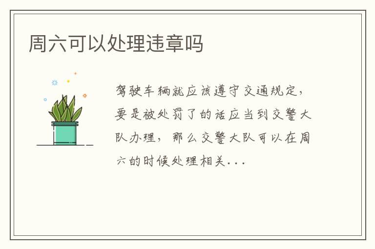 周六可以处理违章吗