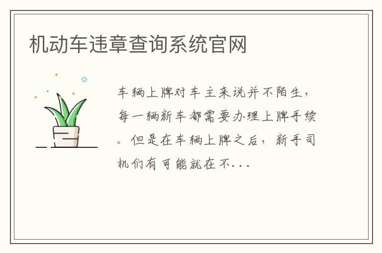机动车违章查询系统官网