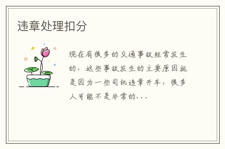 违章处理扣分