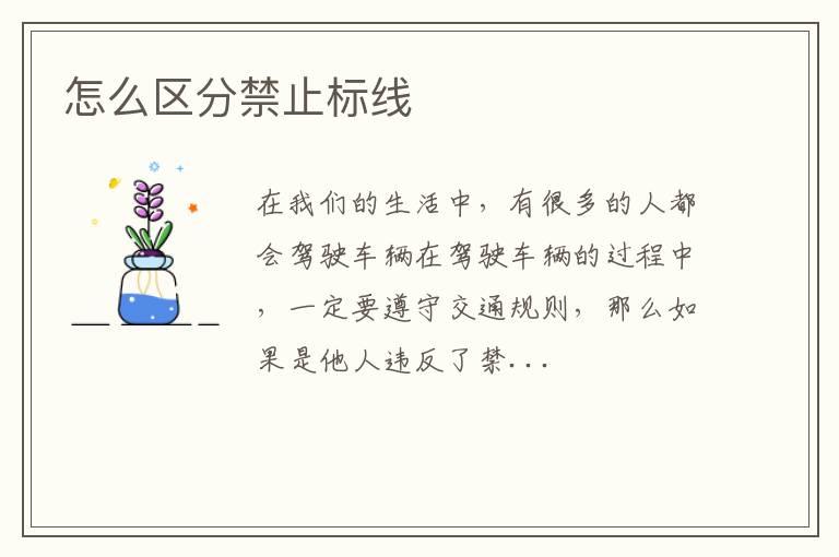 怎么区分禁止标线