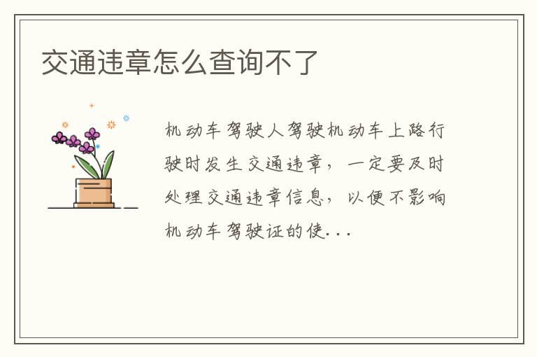 交通违章怎么查询不了