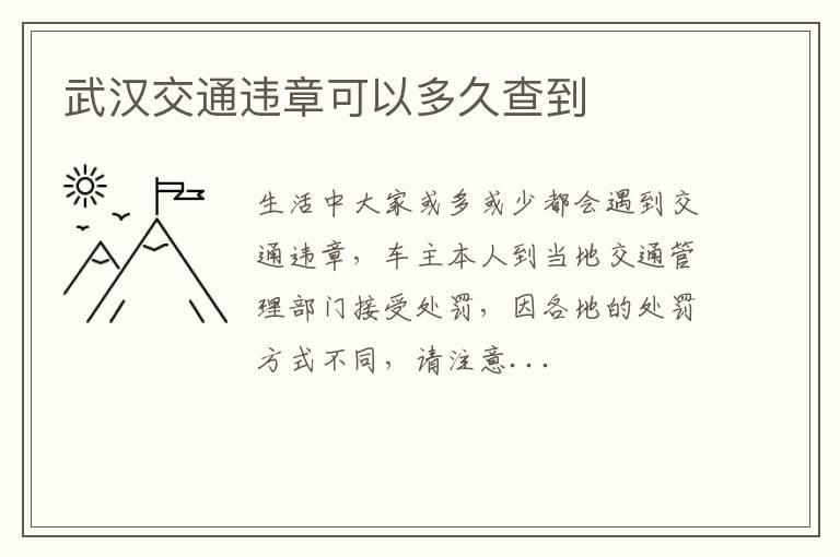 武汉交通违章可以多久查到
