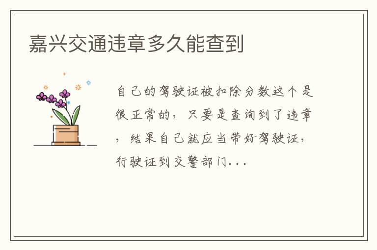 嘉兴交通违章多久能查到